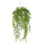Suspension décorative fougère mousse, pot suspendu KLUHER, pot en ciment, vert, 90 cm