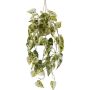 Suspension décorative Syngonium ZULHER dans un panier, vert-blanc, 80 cm