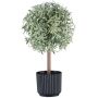 Plante décorative romarin à tige haute WINDAR, effet givré, pot décoratif, vert-blanc, 26 cm