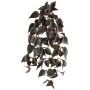 Plante suspendue « Buntnessel » JURJYS, tige, rouge bordeaux, 30 cm