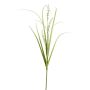 Branche décorative Pennisetum KOVLIN avec des panicules, crème-vert, 65cm