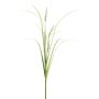 Branche décorative Pennisetum KOVLIN avec des panicules, crème-vert, 80cm