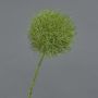 Fleur artificielle Allium GLORF, vert, 75cm