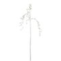 Branche décorative de gaultheria VENTOR, suspendu, argenté, 105cm