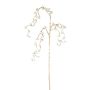 Branche décorative de gaultheria VENTOR, suspendu, champagne, 105cm