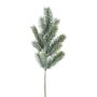 Branche décorative Épicéa bleu SLOVAN, givré, blanc-vert, 50cm