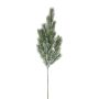 Branche décorative Épicéa bleu SLOVAN, givré, blanc-vert, 60cm