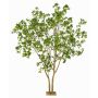 Arbre artificiel de laurier RAXELI sur socle, troncs artificiels, vert, 285 cm