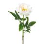 Fleur artificielle Pivoine PEFIN, blanc, 50cm