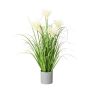 Herbe de la pampa décorative VILMO en pot décoratif, panicules, crème, 65cm
