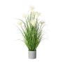 Herbe de la pampa décorative VILMO en pot décoratif, panicules, crème, 75cm