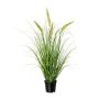 Fausse herbe Pennisetum POMZA, panicules, vert, 70cm