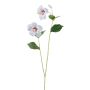 Branche décorative d'hibiscus SMOHLE, blanche, 110 cm