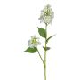 Branche décorative Hortensia GRONVEL, blanc, 65cm