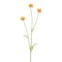 Branche décorative Cosmos ZALVON, orange, 60cm