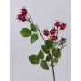 Branche décorative de rose de pomme de terre LOPUNY avec cynorrhodons, rouge, 70 cm