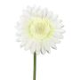 Fleur artificielle Gerbera TUNZA, crème, 50cm