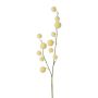 Branche artificielle Gomphocarpus physocarpus YANIKA, fruits, jaune clair, 105cm