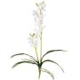 Orchidée Dendrobium Sonia artificielle NELTI, piquet, racines, blanc, 60cm