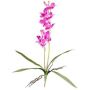 Orchidée Dendrobium Sonia artificielle NELTI, piquet, racines, lilas, 60cm