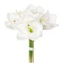 Bouquet de fleurs artificielles Amaryllis LOMIRE, blanc, 30cm