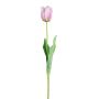 Fleur artificielle Tulipe perroquet SOLAL, rose, 65cm