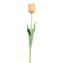 Fleur artificielle Tulipe perroquet SOLAL, abricot, 65cm