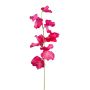 Fleur artificielle Lathyrus latifolius TERRAT, rose fuchsia, 50cm