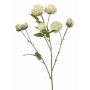 Branche artificielle de rose chou TRUVOL, blanc-vert, 65 cm, Ø 2-6 cm