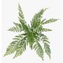 Plante artificielle « fougère à cheveux de femme » STIGOR sur tige, crossdoor, verte, 55 cm