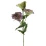 Faux Lisianthus ALARONA, lilas-vert, 55cm