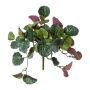 Plante artificielle poivre nain FROHEL, tige, vert-violet, 22,5 cm
