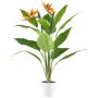 Fleur artificielle Strelitzia VELKORN en pot décoratif, orange-violet, 80cm