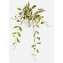 Fleur artificielle « fleur de porcelaine » YLFES sur tige, suspendue, verte, 50 cm