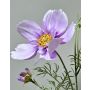 Branche décorative de cosmos HIKJAN, violette, 80 cm