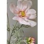 Branche décorative de cosmos HIKJAN, rose-blanc, 80 cm