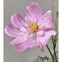 Branche décorative de cosmos HIKJAN, rose, 80 cm