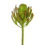 Fleur artificielle « arbre argenté » GROVEN, verte, 50 cm