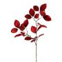 Branche de hêtre GALFHY, rouge foncé, 70 cm