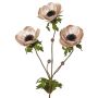 Branche d'anémone en velours WINFAS, rose pâle, 75 cm, Ø 9-11 cm