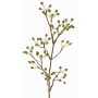 Branche décorative de rosier sauvage HIKERNO avec cynorrhodons, verte, 60cm