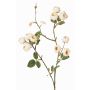 Branche de rose-chou artificielle LORRAINE, collection écologique, crème-jaune, 60cm, Ø3cm