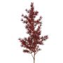 Branche artificielle d'Asparagus umbellatus DIKERNO, rouge bordeaux, 75 cm