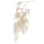 Branche décorative d’Asparagus plumosus MELFHY, retombante, argent-or métallisé, 130 cm