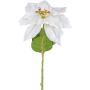 Fleur artificielle Poinsettia JORTI, blanc, 60cm
