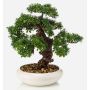 Bonsaï ficus artificiel MIRSANDA dans une coupe décorative, 35cm
