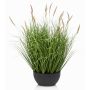 Pennisetum artificiel WALERIAN dans une coupe décorative, avec des panicules, vert, 60 cm
