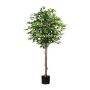 Arbre décoratif Ficus Benjamina ONIN, troncs naturels, 180cm