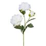 Branche de fleurs artificielles Pivoine SLORMEK, blanc, 65cm