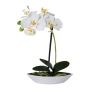 Orchidée Phalaenopsis artificielle ORWAN, coupe décorative, racines, blanc, 30cm